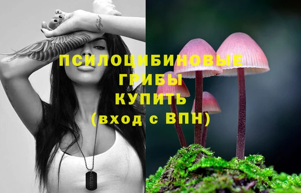 дмт Остров